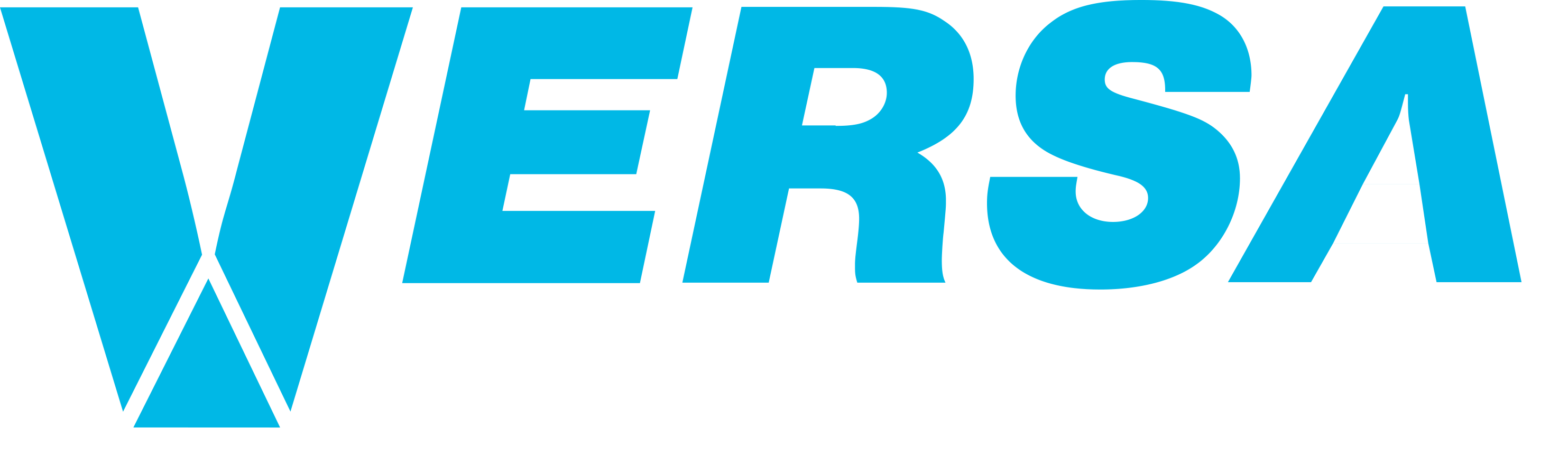 versa blue white logo (1)